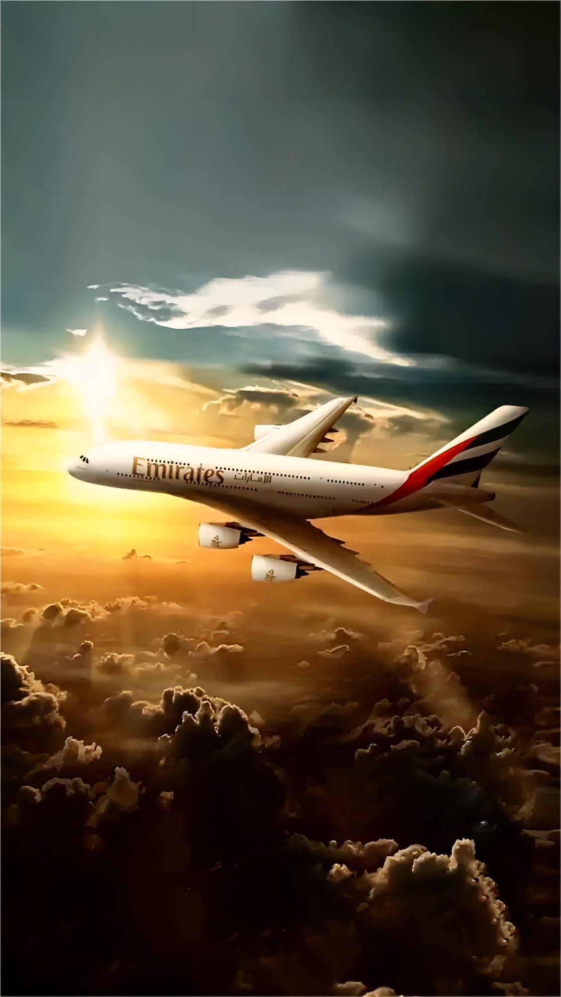 Logistics expert reviewing shipping documents, ensuring compliance and efficiency