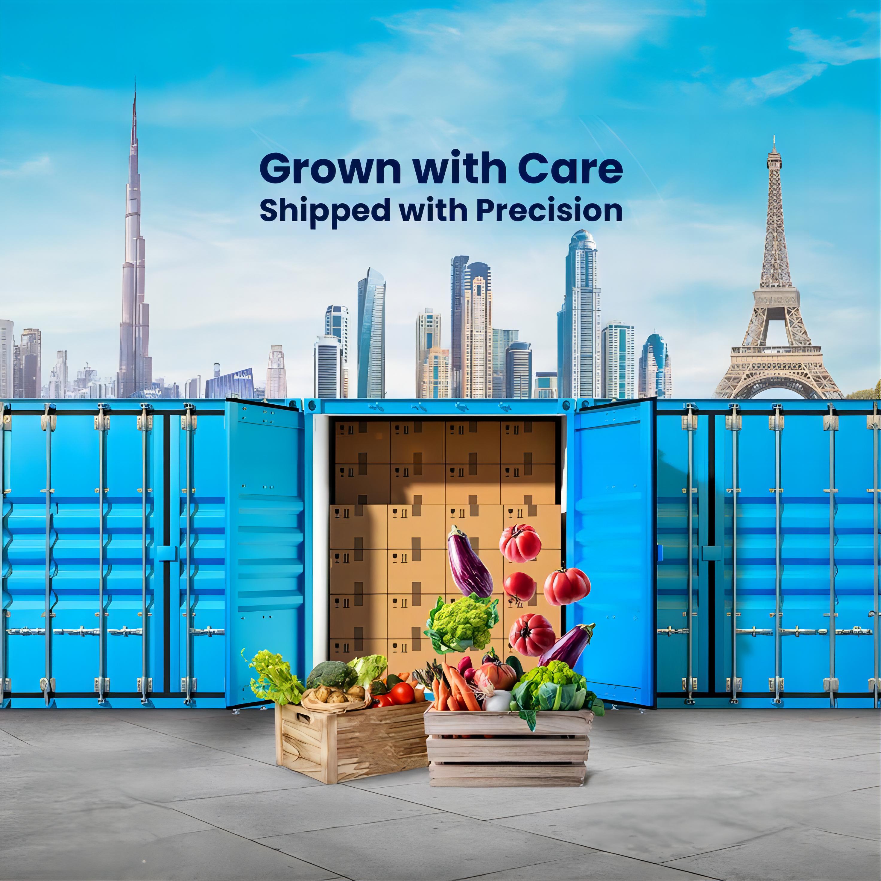 Electronics cargo secured on a flat rack container